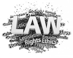 Employment Law for Employees